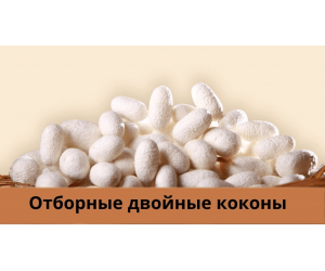 Шелковое одеяло "Классик" (вес 2500 г) OSH006